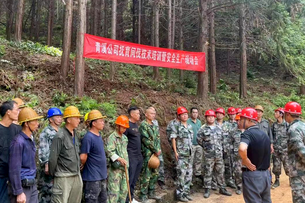 加強(qiáng)森林撫育示范管理，促進(jìn)森林質(zhì)量精準(zhǔn)提升