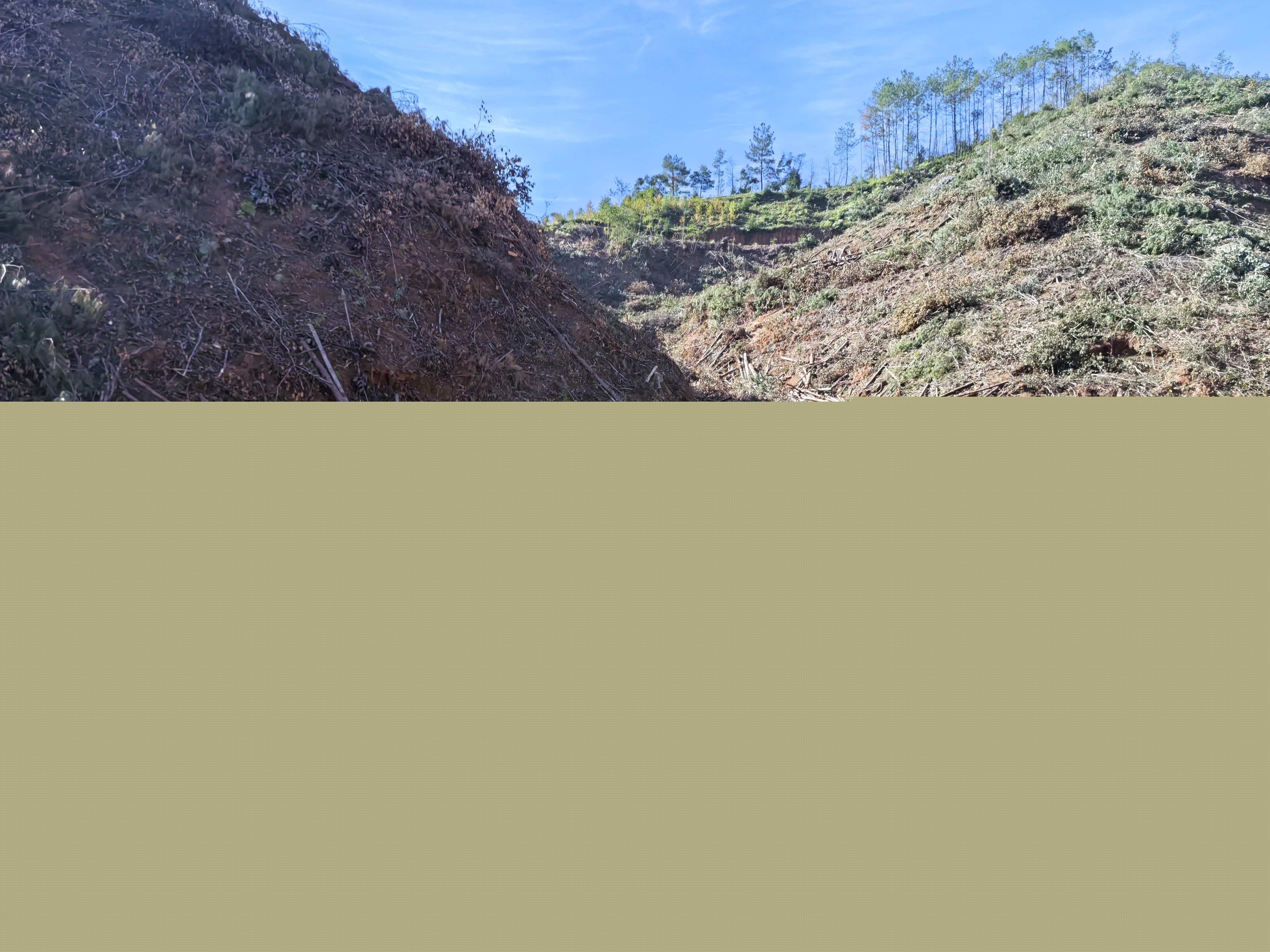 平安常青，我們在行動——常青分公司開展安全生產(chǎn)日活動