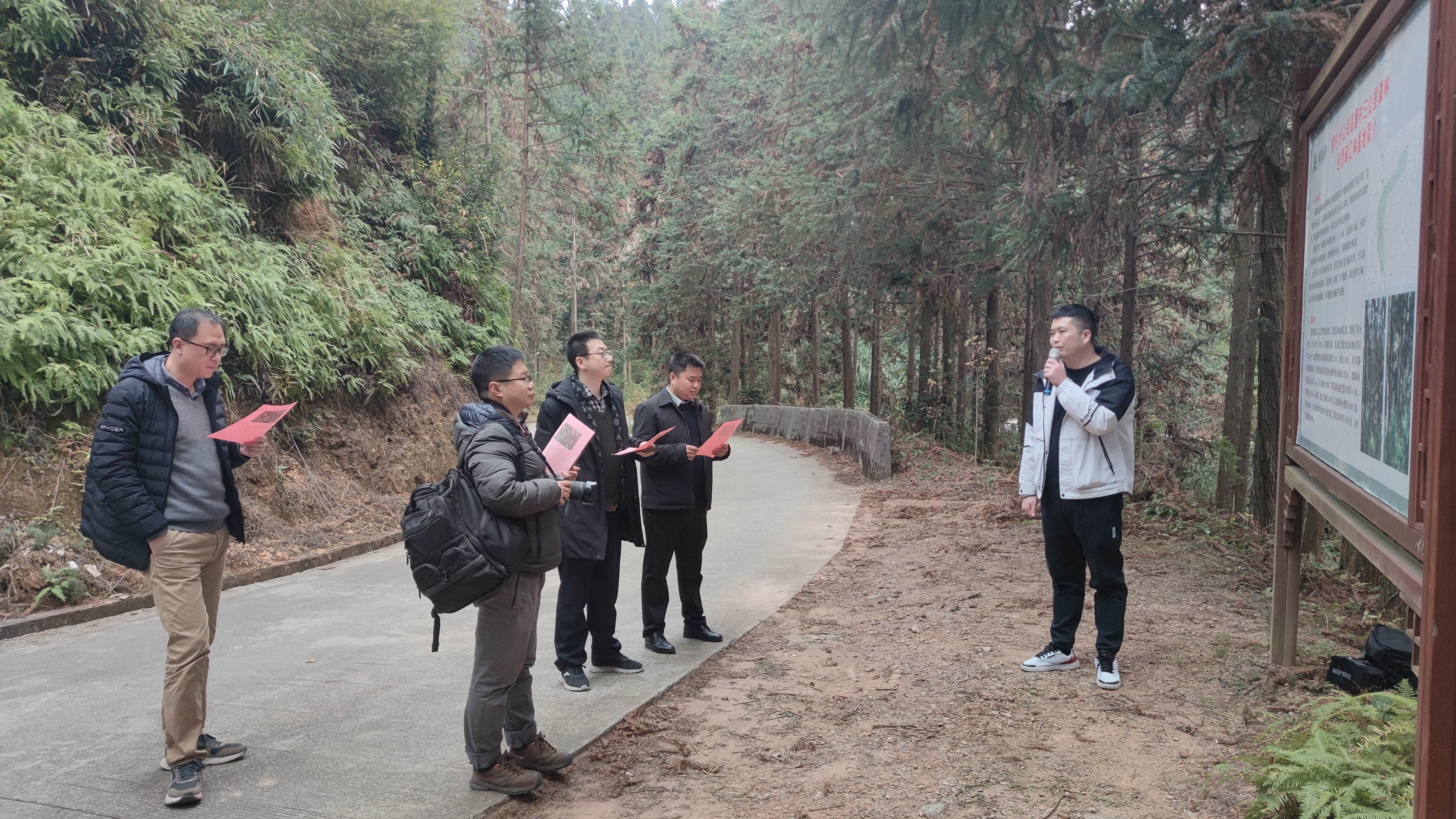 福建金森與上海園林集團(tuán)——強(qiáng)強(qiáng)交流促合作，共繪林改新藍(lán)圖