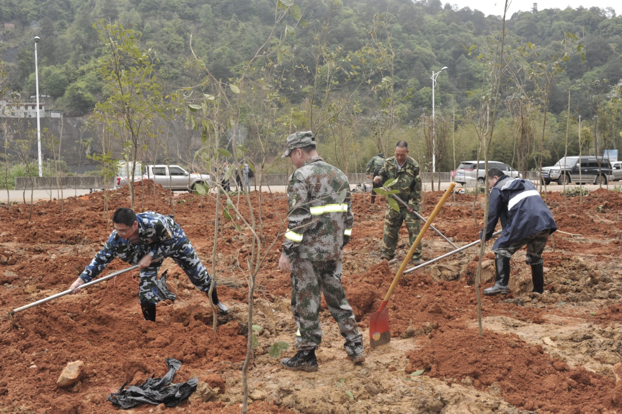 陽(yáng)春三月雨，正是植樹(shù)好時(shí)節(jié)