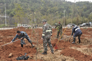陽春三月雨，正是植樹好時(shí)節(jié)