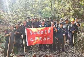 干好每一天|青山掛白我復綠，無私奉獻金森人——資源保護部義務突擊隊工作記實