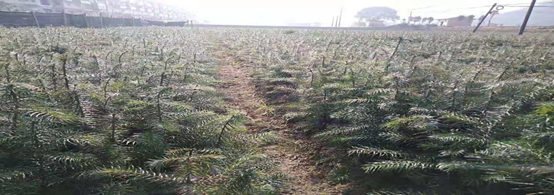 1612922670298379.png image.png