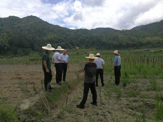 1626948070924054.png image.png