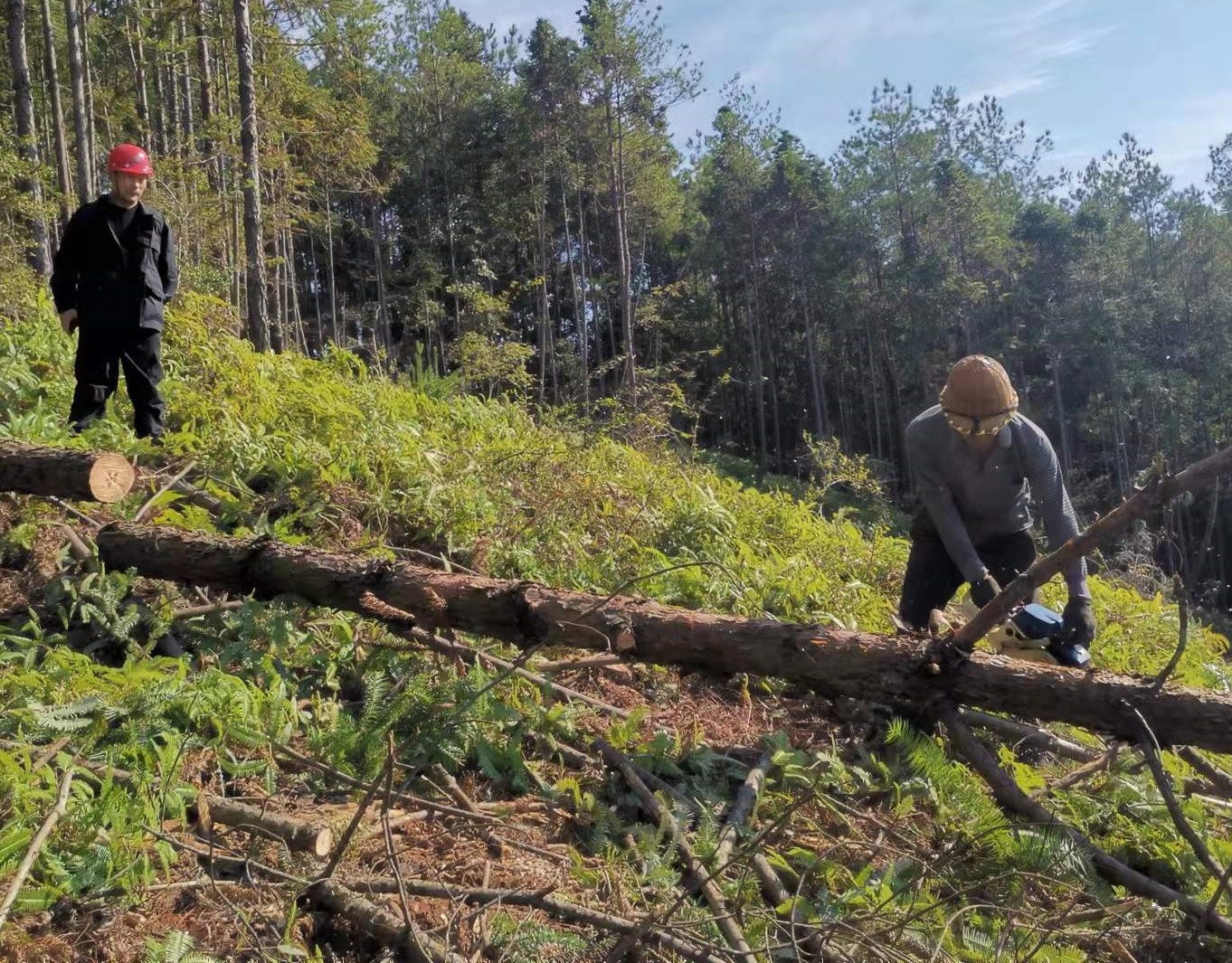 筑牢安全防線，守護(hù)一方平安 ——將溪分公司安全生產(chǎn)工作紀(jì)實(shí)