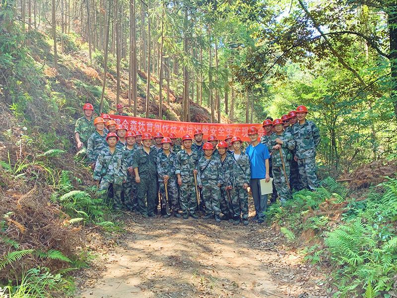 嚴把森林培育質(zhì)量關(guān)，譜寫資源培育新篇章