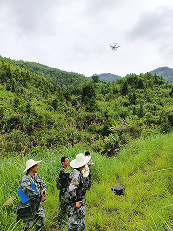 嚴把森林培育質(zhì)量關(guān)，譜寫資源培育新篇章