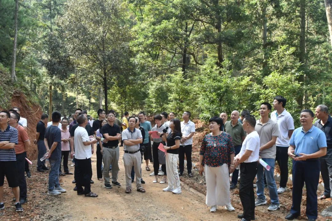 琵琶丘工區(qū):三明市森林質(zhì)量精準提升工程業(yè)務培訓現(xiàn)場示范 琵琶丘工區(qū):三明市森林質(zhì)量精準提升工程業(yè)務培訓現(xiàn)場示范