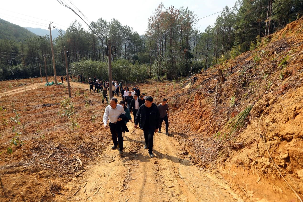 不負(fù)春光好，搶播萬畝林 ——將樂縣村企合作造林工作現(xiàn)場會(huì)在福建金森召開
