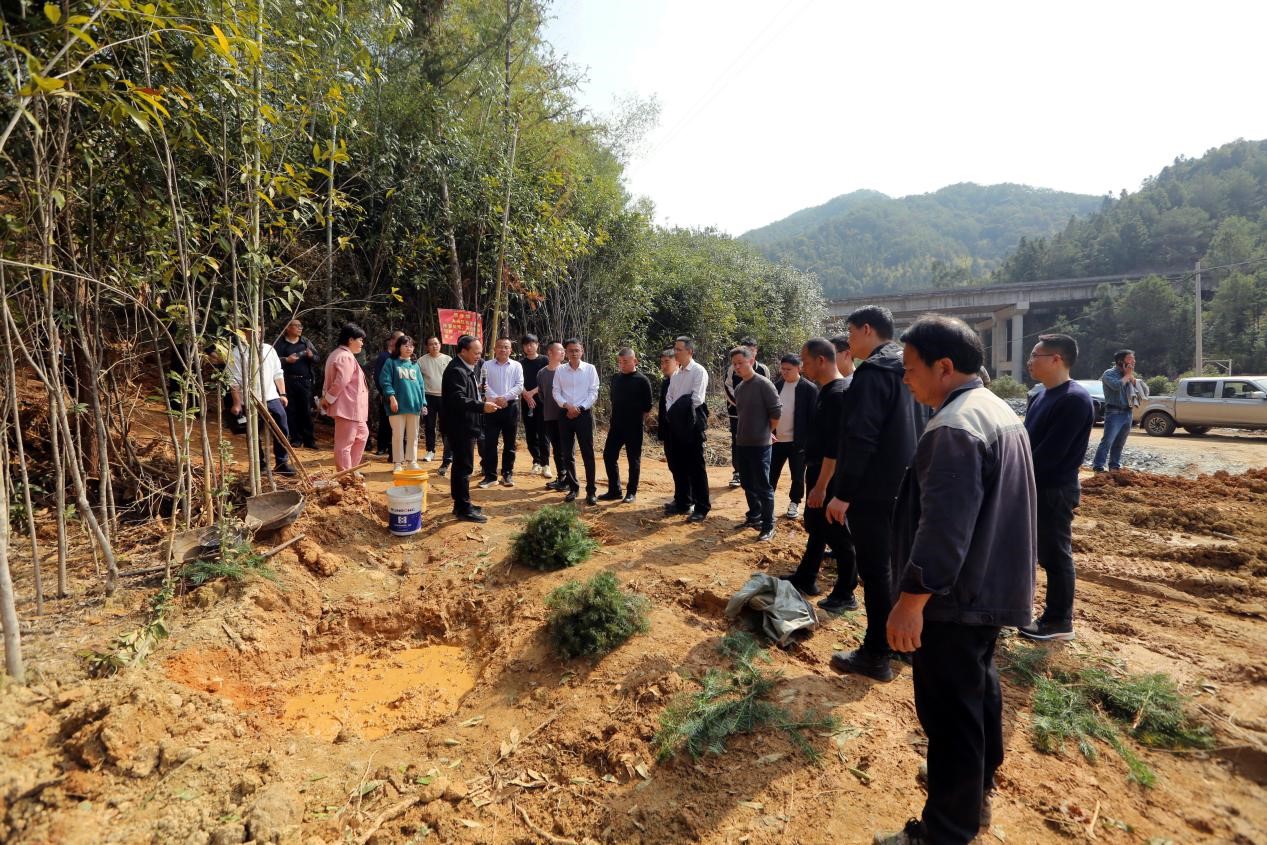 不負(fù)春光好，搶播萬畝林 ——將樂縣村企合作造林工作現(xiàn)場會(huì)在福建金森召開