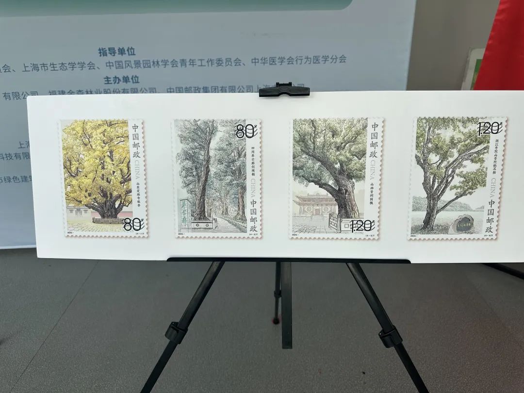 全國生態(tài)日來了！福建金森攜手舉辦上?！吧胶Ｍ铡ば雍糜心恪被顒?/></p><p style=